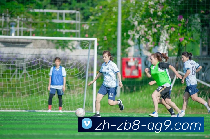 多媒体互动体验